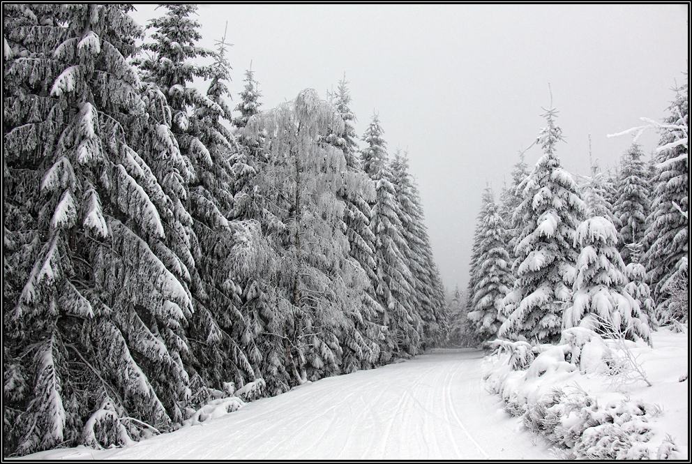 Winter in Willingen - ein Märchen