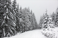 Winter in Willingen - ein Märchen