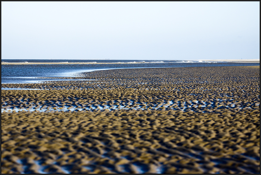 Borkum IV