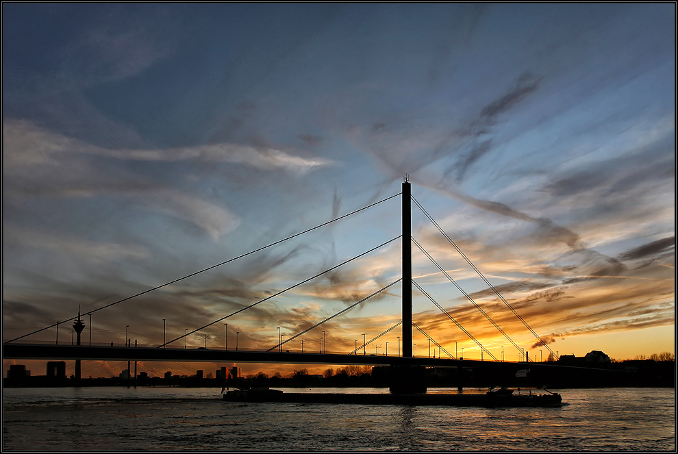 Düsseldorfer Brückenfamilie - Oberkasseler Brücke 