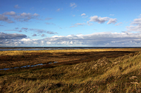 Borkum-der Nordseeinsel mit Hochseeklima