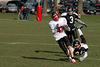 Düsseldorf Panther vs Cologne Falcons 