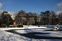  Der "Jröne Jong " des Hofgartens 