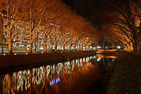 Düsseldorf im Advent - Königsallee