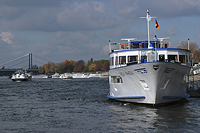 MS  "Rex Rheni"  in Düsseldorf